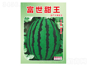 ���ϷN��-��������-���S�r�I