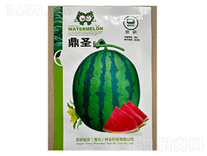 西瓜種子-鼎圣F1-尚豐農業