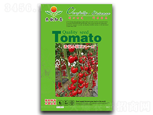 ����С����F1-13-���ѷN��-���J�tϲ