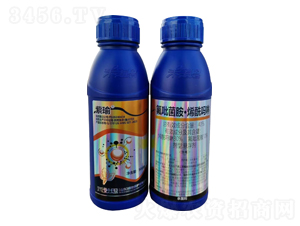 40%����������ϩ������-���-���r��̩