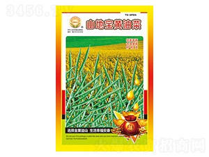 �Ͳ˷N��-ɽ�،��S�Ͳ�-̫���N�I