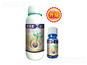 3%��˪���fù�`-�ն���-����¡����