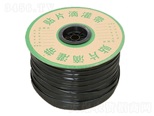 �NƬʽ�ι���-�лݝɣ��лݝ��ǻ��r(n��ng)�I(y��)�l(f��)չ��ɽ�|�����޹�˾