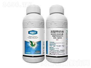 40%���Ѽ׭h(hu��n)��-���ؿ�-�����r(n��ng)