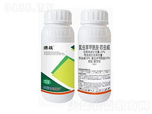 20%���x�������������x��-͸��(zh��n)-�����r(n��ng)