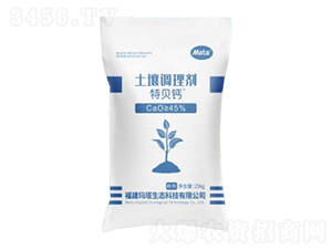 �����{�턩���ۄ���-��ؐ�}-�����ɷ�