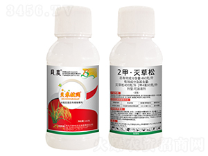 2�ס������-ؐ�r���-ؐ˹���r��