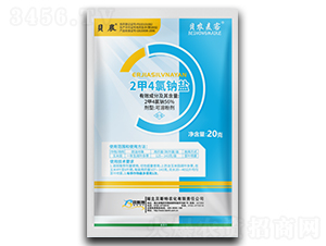 2��4���c�}-ؐ�r����-ؐ˹���r��