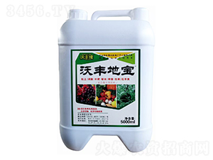 ���S�،��ͺ�΢�����-���S¡-������