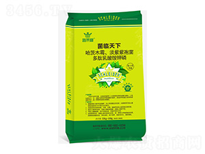 菌臨天下-施萊登