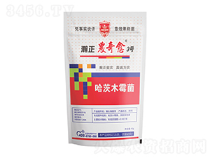 ����ľù��-����r����3̖-������r