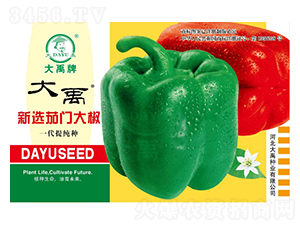 ���x���T��-�����N��-�����N�I