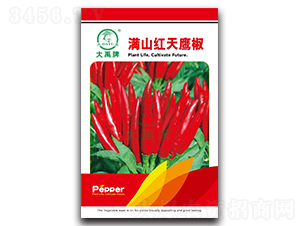 ��ɽ�t������-�����N��-�����N�I