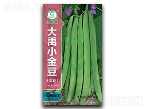 ����С��-�ܶ��N��-�����N�I