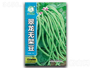 �����o�ܶ�-�ܶ��N��-�����N�I