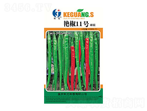 �G��11̖-�ƹ�N��