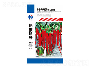 �G��15̖-�ƹ�N��