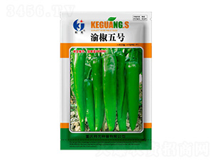 �彷5̖-�ƹ�N��