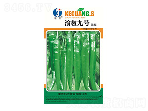 �彷9̖-�ƹ�N��