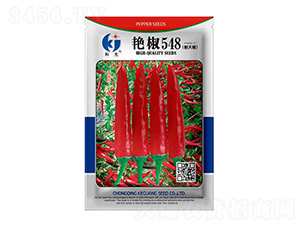 �G��548-�ƹ�N��