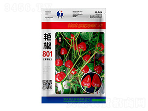 �G��801-�ƹ�N��