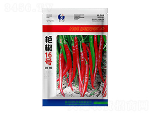 �G��16̖-�ƹ�N��