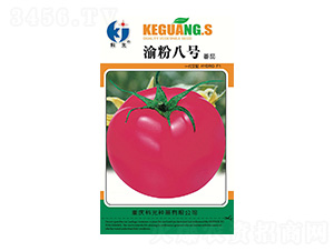 ���8̖-�ƹ�N��