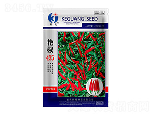 �G��435�����N��-�ƹ�N��