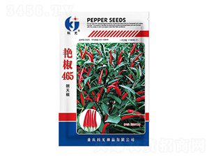 �G��465�����N��-�ƹ�N��