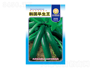 �����J�N��-�n��������-̫���N�I