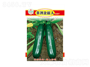 �����J�N��-���޽�����-̫���N�I