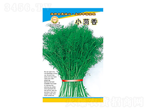 小茴香-太樂種業