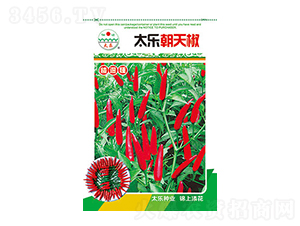 �����N��-̫�����콷-̫���N�I