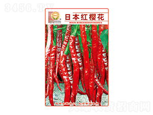 �����N��-�ձ��t�ѻ�-̫���N�I