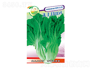 ��˷N��-������004-̫���N�I