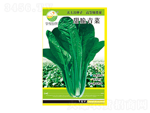 ��˷N��-������-̫���N�I