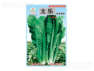 ��˷N��-�ۗU���-̫���N�I