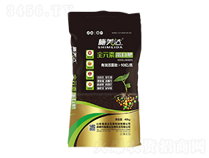 ȫԪ�ص��׷�-ʩ���_