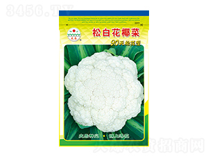 白花椰菜種子-松白花椰菜-太樂種業