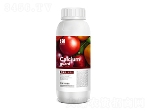 �ЙC(j��)Һ�w�Ǵ������}��-�}�l(w��i)ʿ-�Pِ�Z