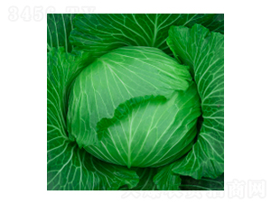 ���{�N��-學�316-�A孷N�I