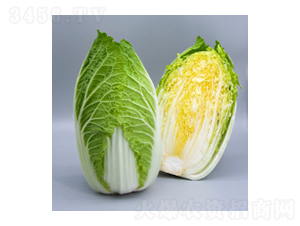 大白菜種子-大白菜15號-華瀛種業