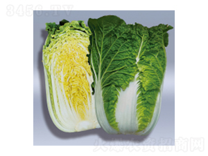 ��ײ˷N��-�伪-�A孷N�I