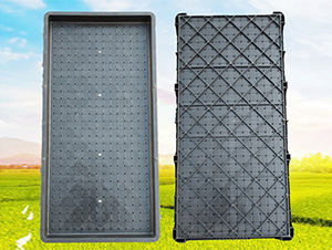 9���պ�����P-ʢ�S�r�C