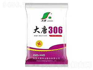 ����306-���׷N��-���ƷN�I