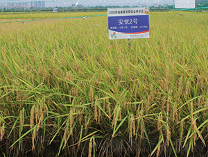 ����2̖-ˮ���N��-�𽡷N�I