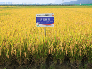 ��ɏ�z��-ˮ���N��-�𽡷N�I