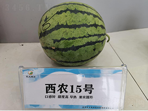 ���r15̖-���ϷN��-���S�N�I