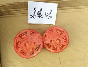 �߿�����10̖-���ѷN��-���S�N�I