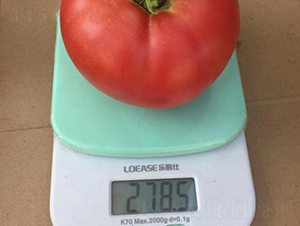 �߿�����5̖-���ѷN��-���S�N�I